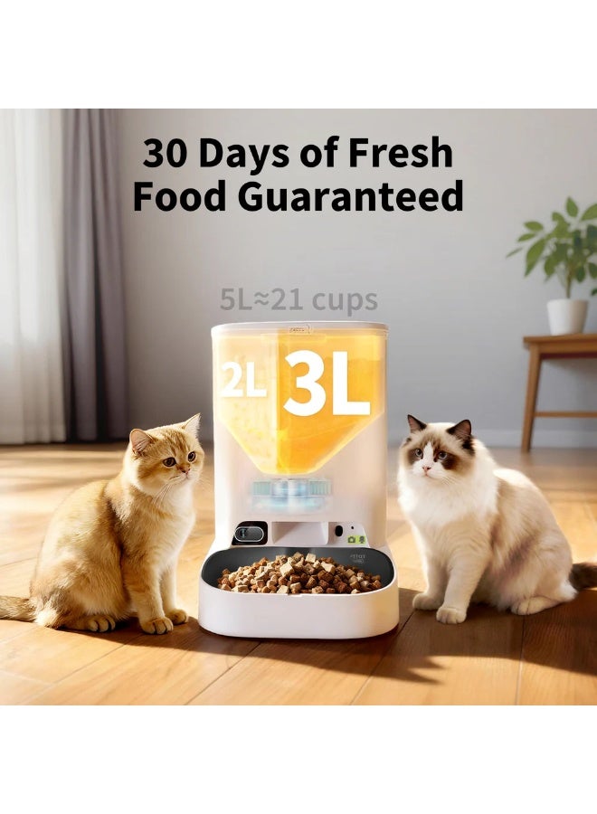 PETKIT YumShare Gemini 2.0 - Dual Hopper feeder with Camera - Image 5